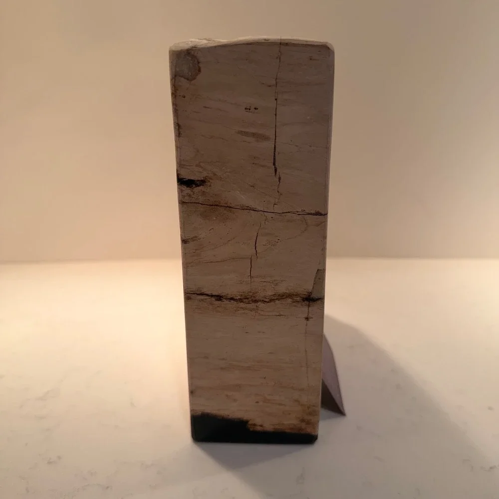 Natural Petrified Wood Single Bookend Handmade Heavy Large Neutral Bibliophile